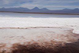 Salare Laguna Tebinquinche, Atacama.