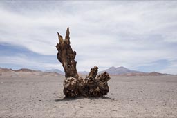 Driest desert in the world, Atacama.