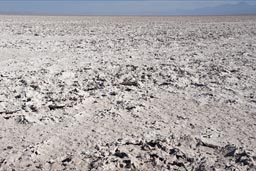 Salare de Atacama, so different.