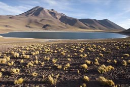 Laguna and Volcan Miniques.