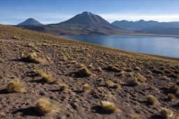 Cerro Miscanti and Chiliques in back of Lagunas Miscanti, Chile.