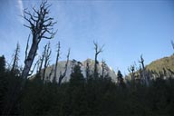 Pumalin Park, the Chaiten volcano explosion.