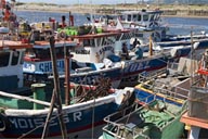 Fishing boats.