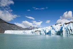 O'Higgins lake and glacier.