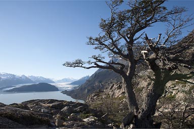 Late in 1st day, walking towards Grey glacier and lake, Torre del Paine.