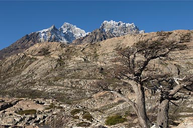 Torre del Paine NP, Patagonia, Chile.