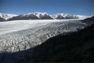 Grey Glacier.