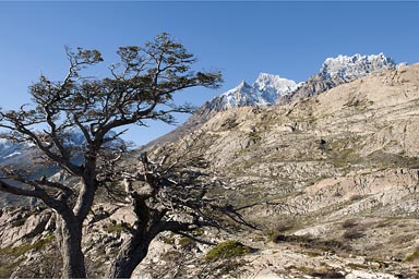 Torre del Paine NP.