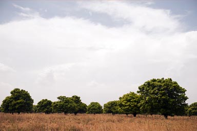 Colombia landscape near  Valledupar.