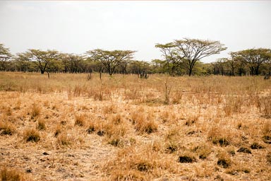 Guajira landscape, Colombia..