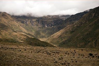 Andean Valley de Rio Servita, Colombia.