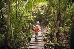 Showing them the jungle. Playa Perla.