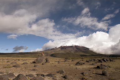 Cotopaxi, plains on 3,900m.