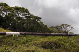 Chevron, Texaco pay repairs, Ecuador pipeline.