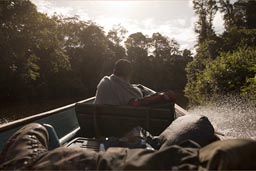 Splash of sun, boat trip Rio Cuyabeno, jungle, Amazon basin, Ecuador.