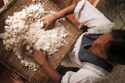 Preparing yuca/cassava/manioc flower. Yuca bread in Ecuador Amazon basin.