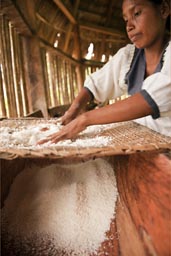 Fine yuca powder. Cassava powder, manioc.