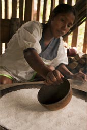 Spread the yuca rasple on stove. The making of yuca bread in Ecuador jungle, by Indigena woman.