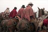 Salinas fiesta of horses, Ecuador. Men in ponchos and hats on horses.