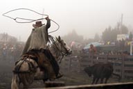 Lasso high, after the bull in foggy Salinas de Guaranda, on 3,600m, Ecuador.