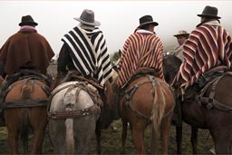 Four ponchos, four hats, Indigenas fiesta of horses, Salinas de Guaranda, the Ecuadorian Andes.