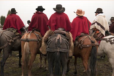 Five riders in ponchos. The Ecuadorian Andean mountains.