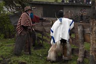 Dealing with bulls, men in ponchos, Indigenas fiesta in Salinas, Ecuador.