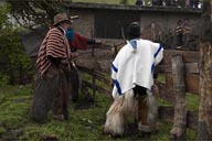 Dealing with bulls, men in ponchos, Indigenas fiesta in Salinas, Ecuador.