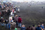 Rodeo in Salinas, Ecuador.