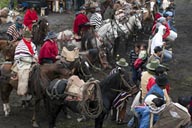 Indigenas watch rodeo, Salinas, fietsa of horses, Ecuadorian Andes.