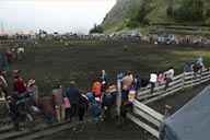 The rodeo ground in foggy Salinas on 3,600m, Ecuadorian Andean mountains..