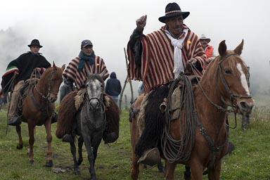 One bull escaped, all spread out on a hunt to gather the bull. Salinas de Guaranda, Ecuador.