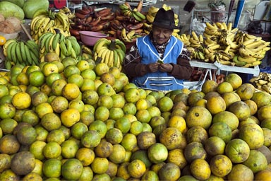 Market, Riobamba, Ecuador, Indigena woman selling loads of oranges..