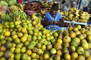 Market, Riobamba, Ecuador, Indigena woman selling loads of oranges..