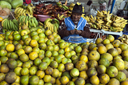Market, Riobamba, Ecuador, Indigena woman selling loads of oranges..