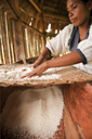 Fine yuca powder. Cassava powder, manioc.