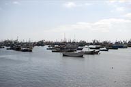 Paita, Armada of fishing boats, Peru.