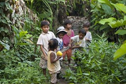 Bananas and others, Cocama Cocamilla children and my boys on walk, Peruvian jungle, Loreto.