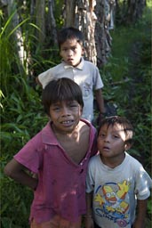 Cocama Cocamilla boys on little evening jungle walk.