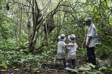 Guy explains termite nests, just over the water level of the rainy season. Peruvian jungle.