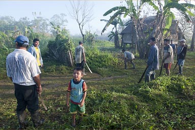 Cutting grass with machetes. Cocama Cocamilla village.