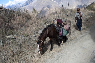 In southern Amazonas, Peru, Mountain road a man and horse climb.