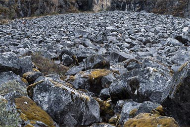 Cordillera Blanca, field of black boulders.