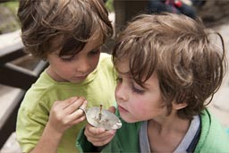 Barrancos, boys investigate a joss stick, Lima, Peru.