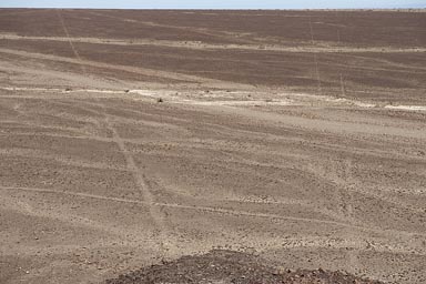 Nazca lines.