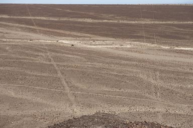 Nazca lines.