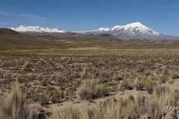 Steppe in the Andes, Ampato, dormant 6288 m stratovolcano in back, Peru.