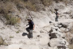 David, behind Daniel, headed down Colca Canyon, 5 year old boys. Peru.