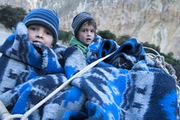 We climb back up on mules and the boys are being packed up. Colca Canyon ascent.