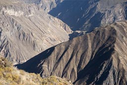 View down an amazing Canyon.